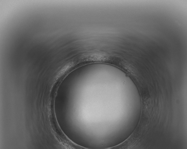 X0000060270679200511041416