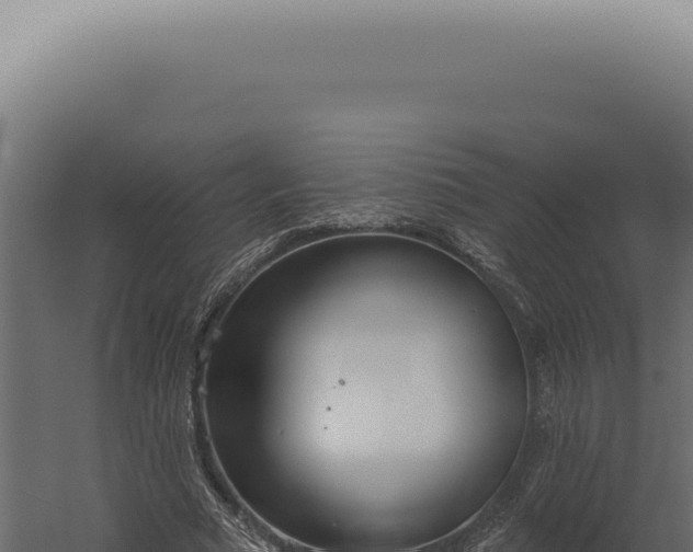 X0000060270681200511041416