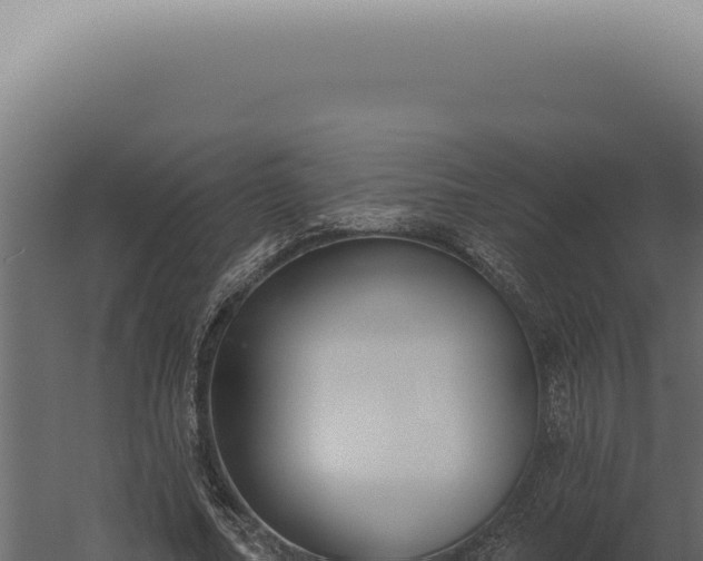 X0000060270682200511041416