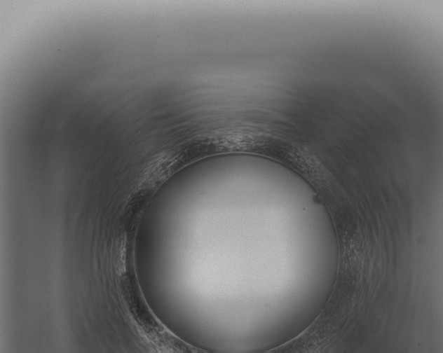X0000060270694200511041416
