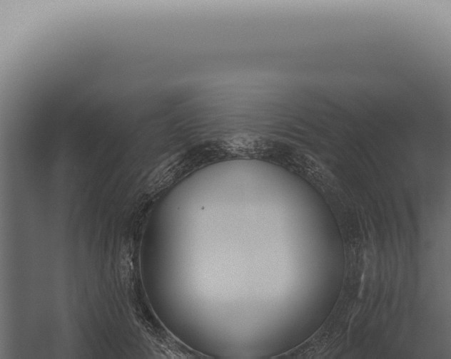 X0000060270702200511041416