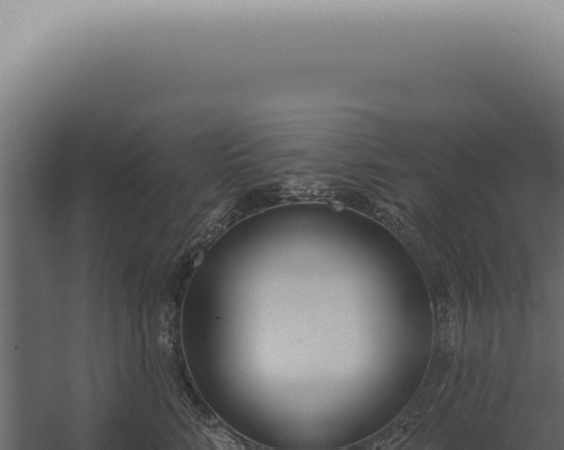 X0000060270712200511041415