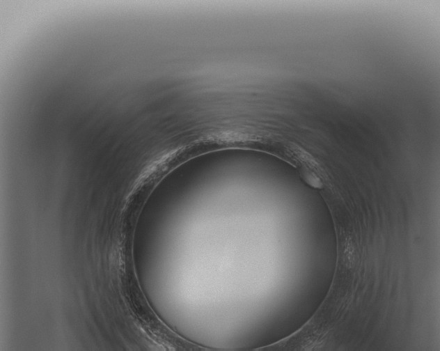 X0000060270732200511041415