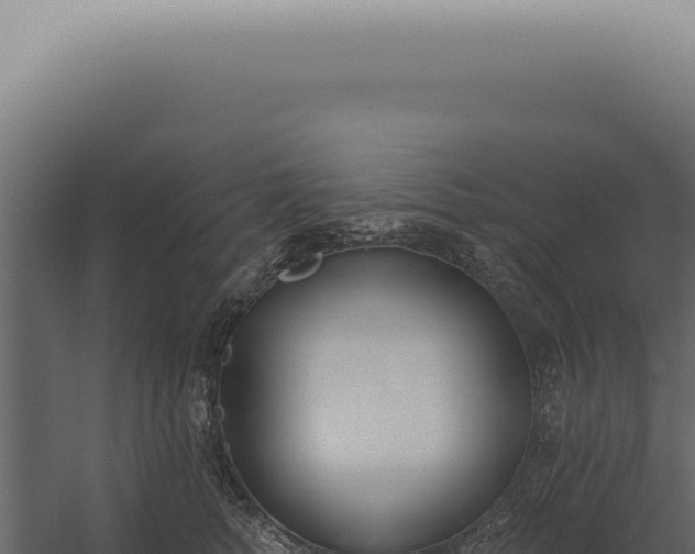 X0000060270758200511041415