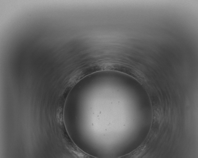 X0000060270766200511041415
