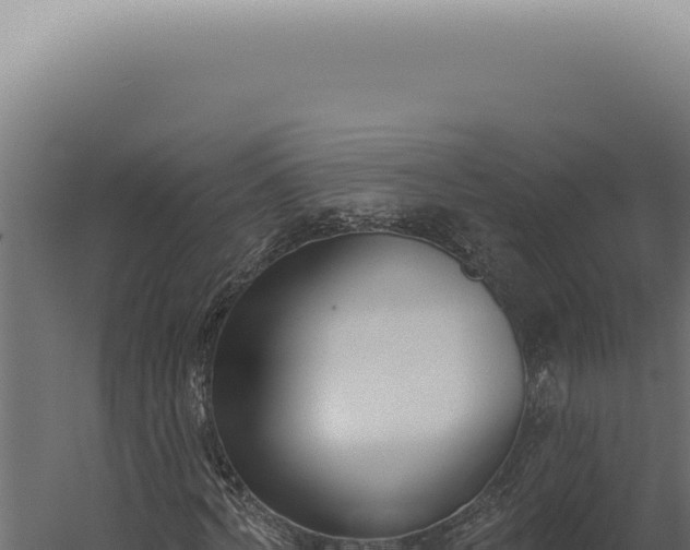 X0000060270772200511041414