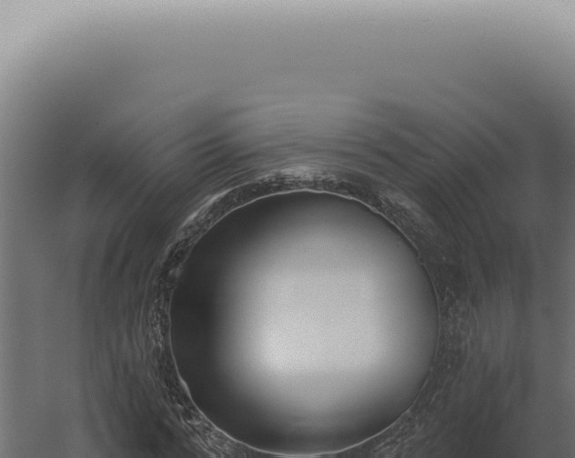 X0000060270776200511041414