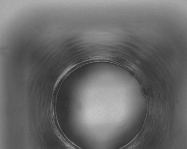 X0000060270796200511041414