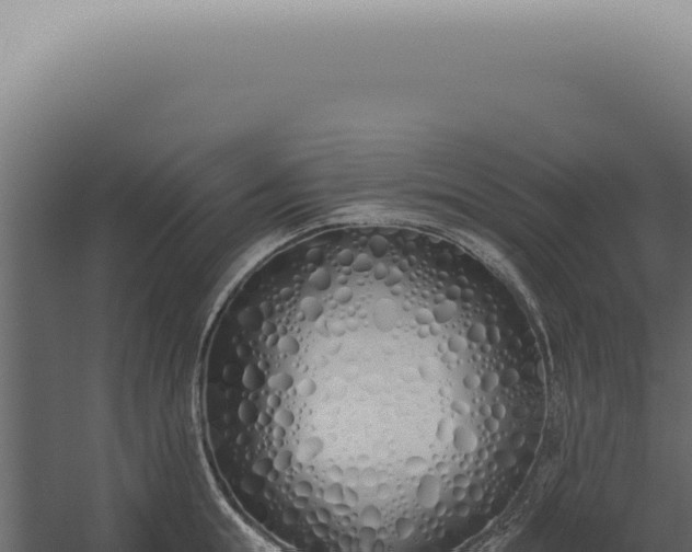 X0000060270855200511041413