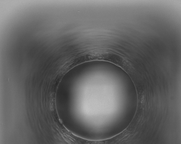 X0000060270868200511041413