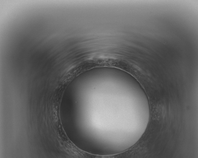 X0000060271013200511041410