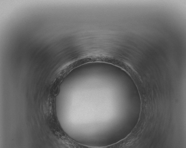 X0000060271016200511041410