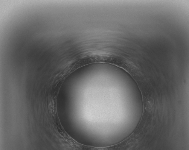X0000060271061200511041409