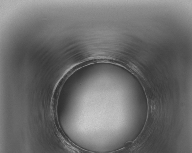 X0000060271068200511041409