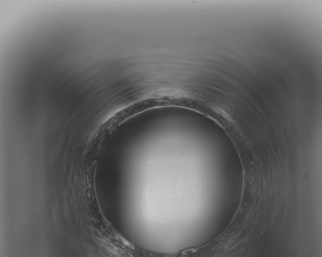 X0000060271112200511041408