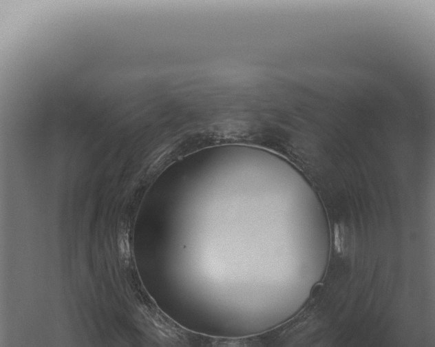 X0000060271155200511041408