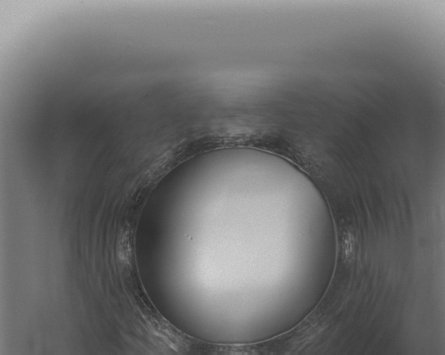 X0000060271204200511041406