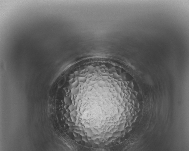X0000060271255200511041406