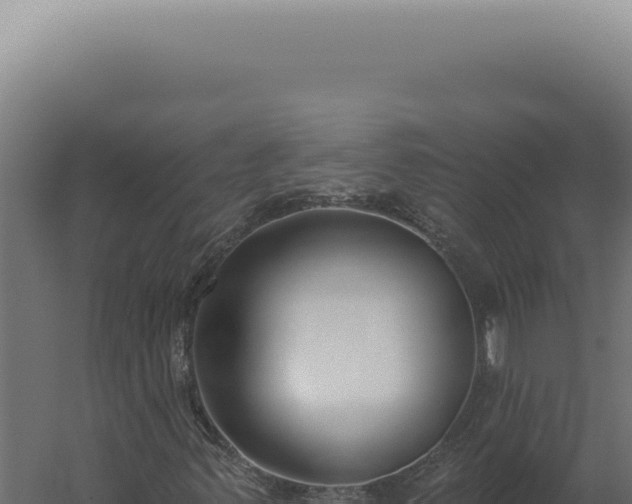X0000060271347200511041405
