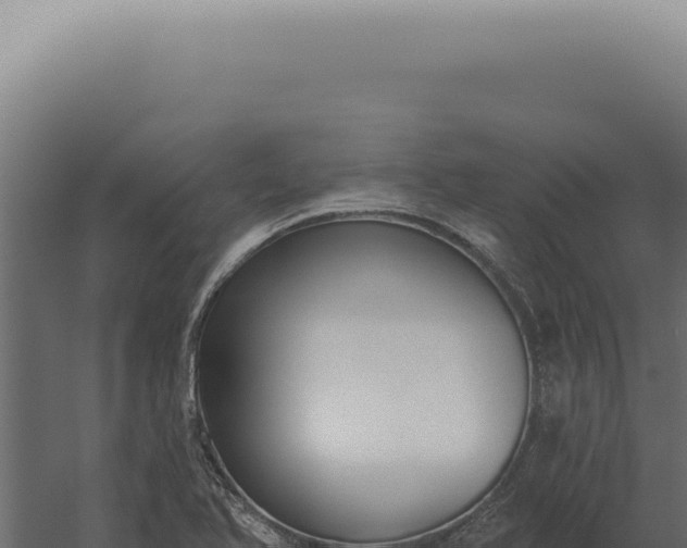 X0000060271366200511041404