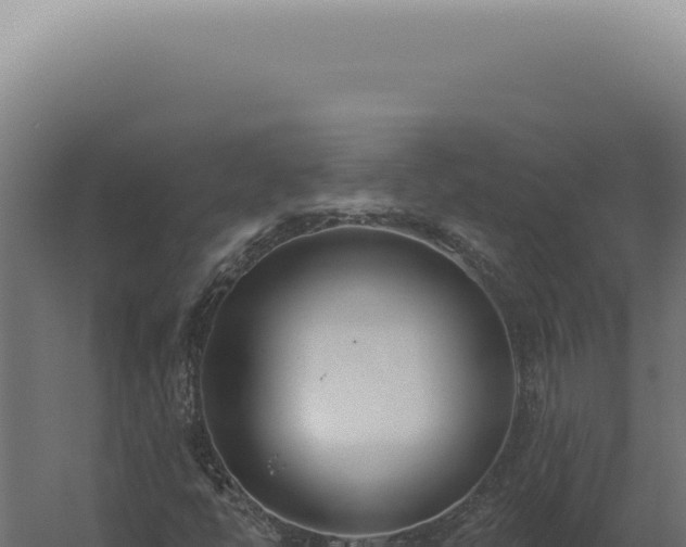 X0000060271398200511041403