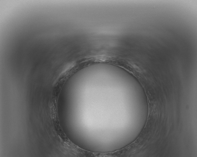 X0000060271446200511041403