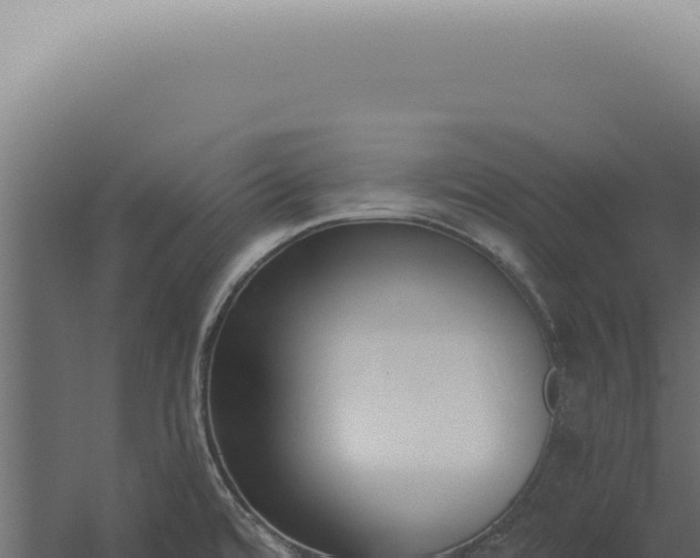 X0000060271480200511041402