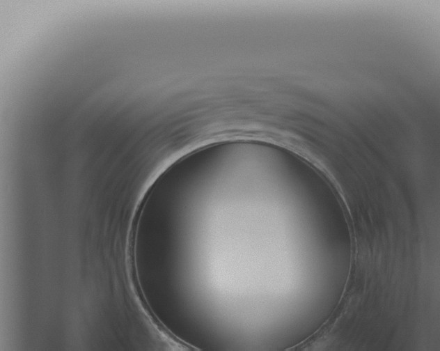 X0000060271533200511041402
