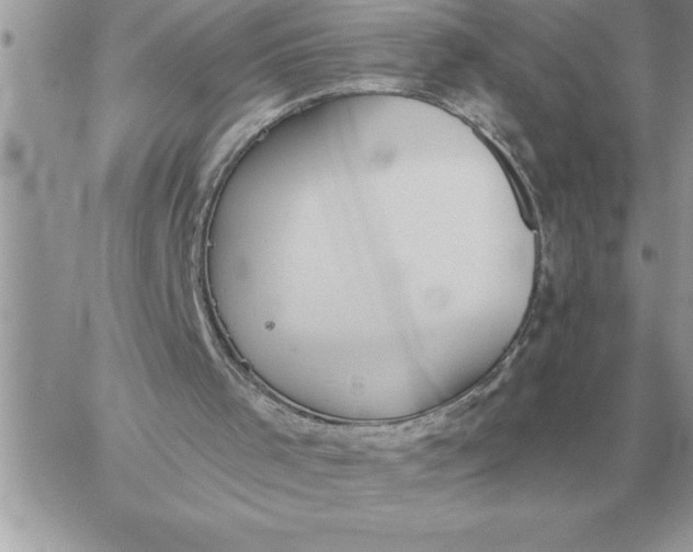 X0000060270001200511112059