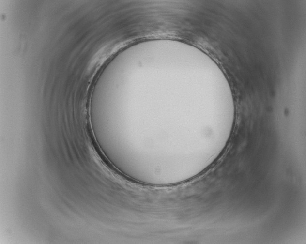 X0000060270002200511112059