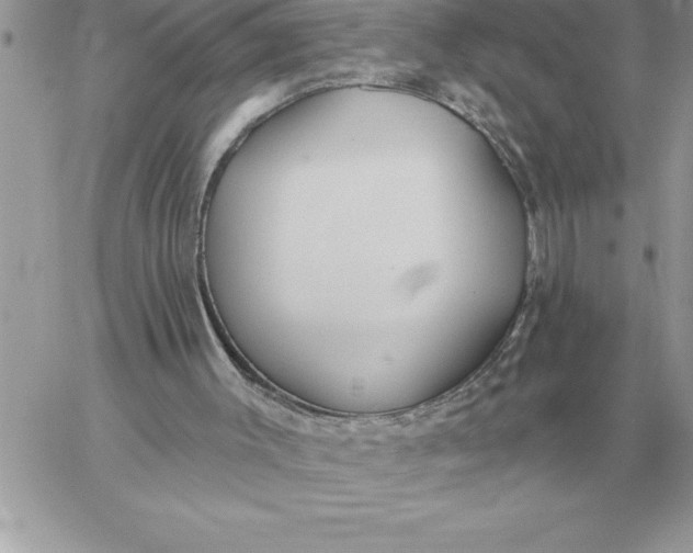 X0000060270003200511112059