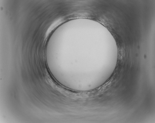 X0000060270004200511112059