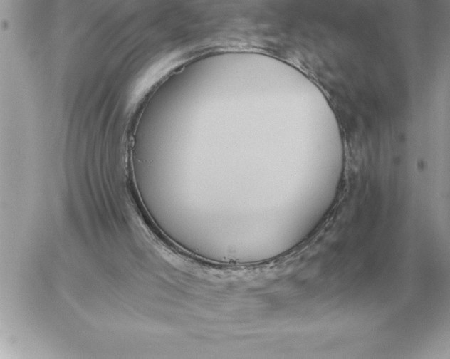 X0000060270005200511112059