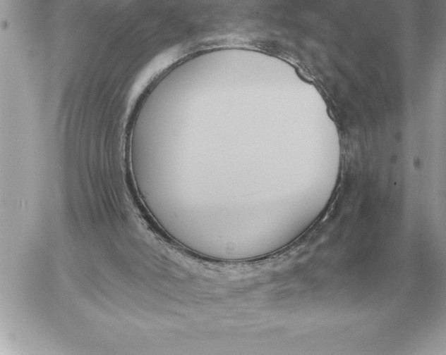 X0000060270006200511112059