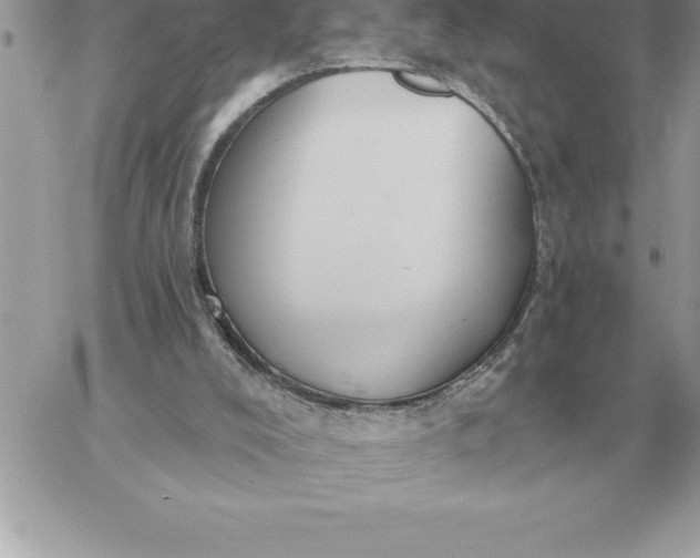 X0000060270008200511112059