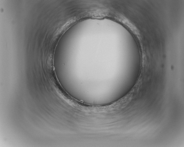 X0000060270009200511112059