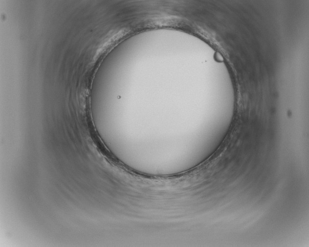 X0000060270010200511112059