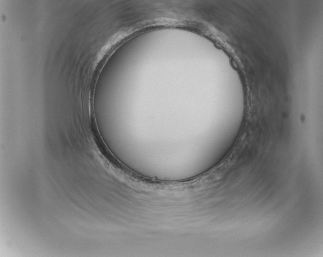 X0000060270011200511112059