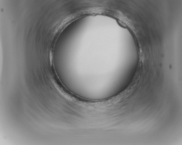 X0000060270013200511112059