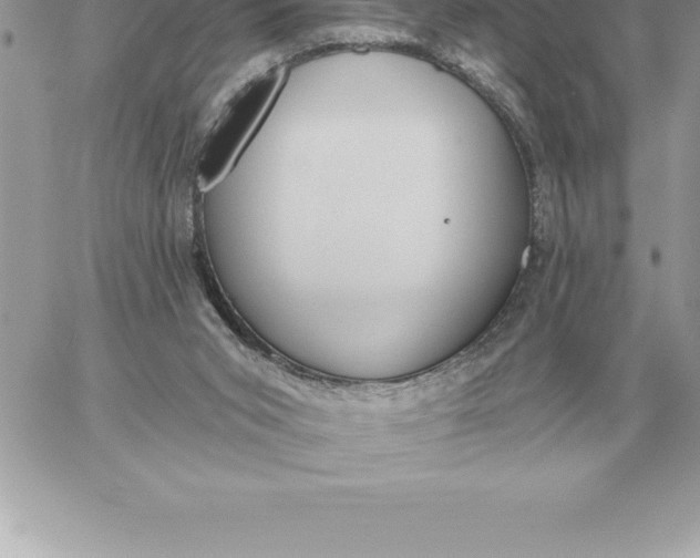 X0000060270015200511112059