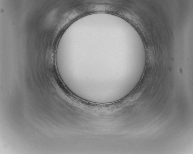 X0000060270016200511112059