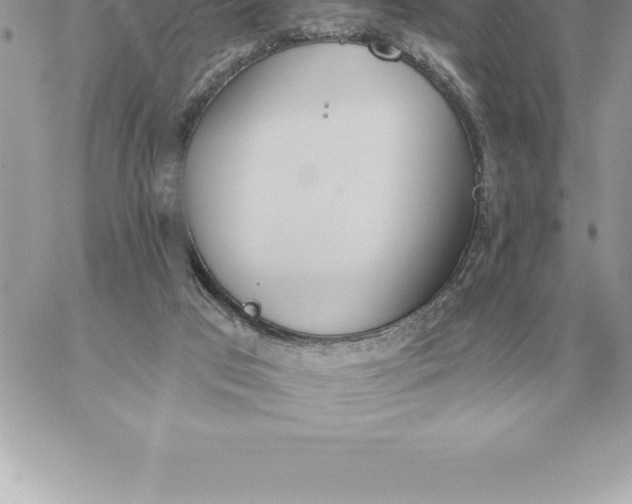 X0000060270017200511112059