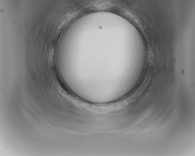 X0000060270018200511112059