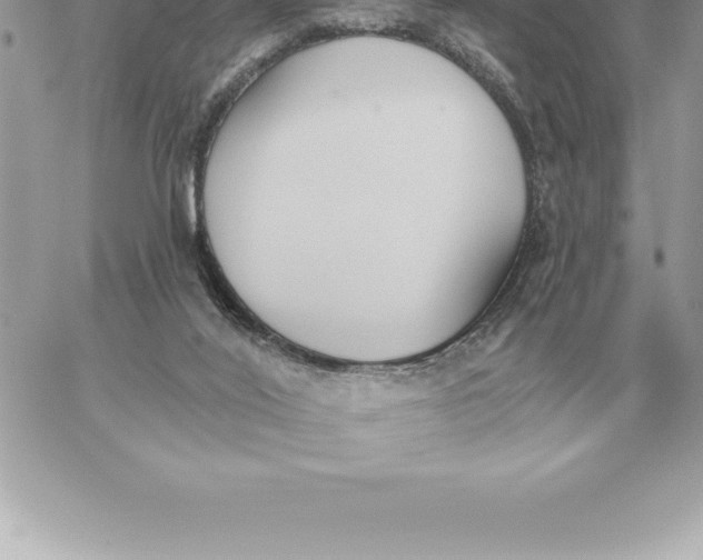 X0000060270020200511112059