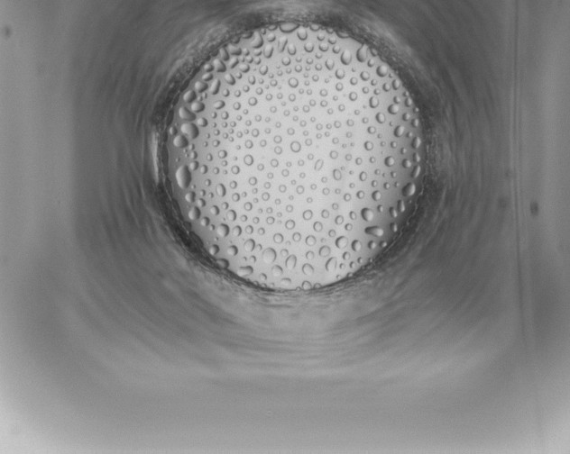 X0000060270022200511112059