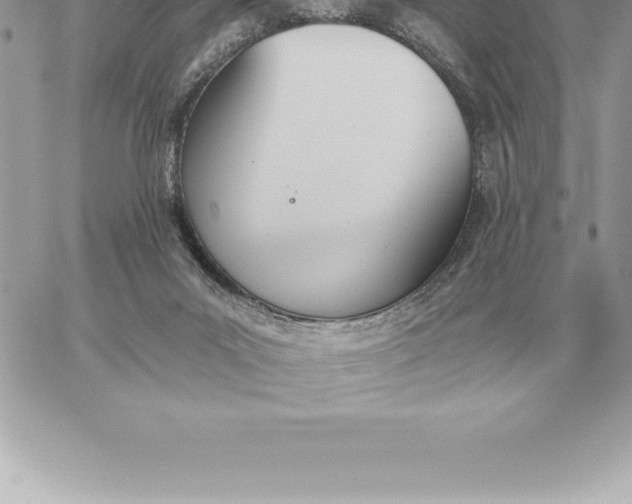 X0000060270023200511112059