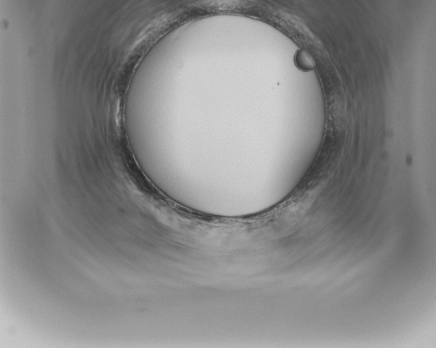 X0000060270024200511112058