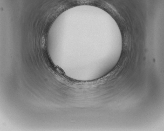 X0000060270025200511112058