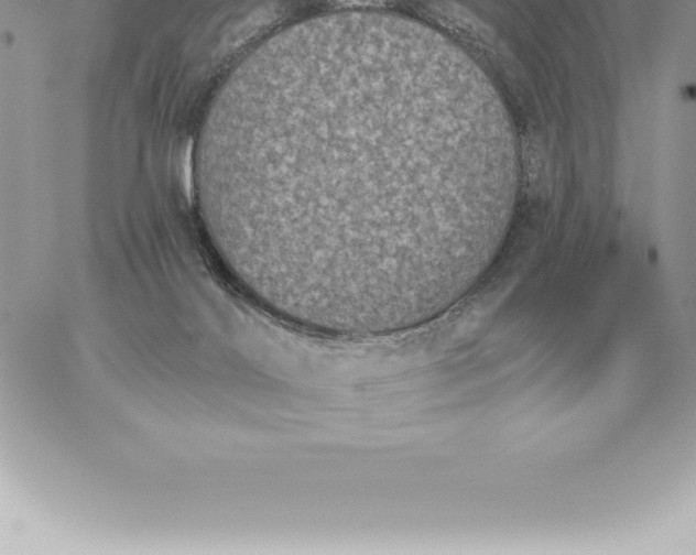 X0000060270028200511112058