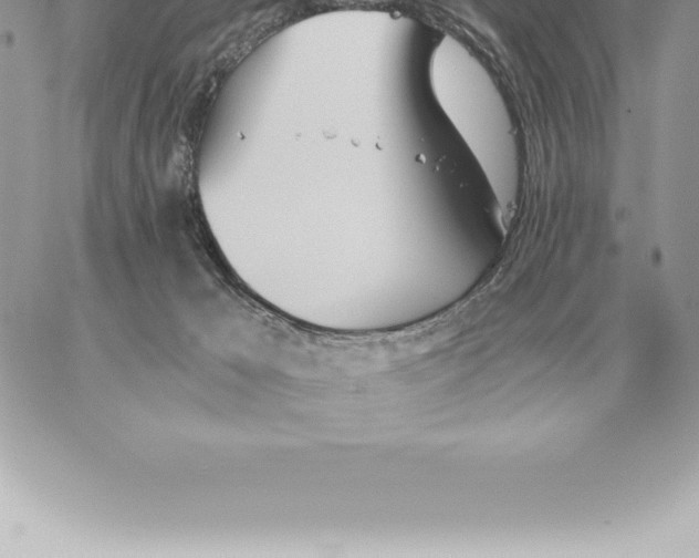 X0000060270029200511112058